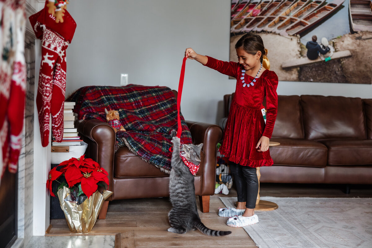 houston-christmas-mini-sessions-2024_144