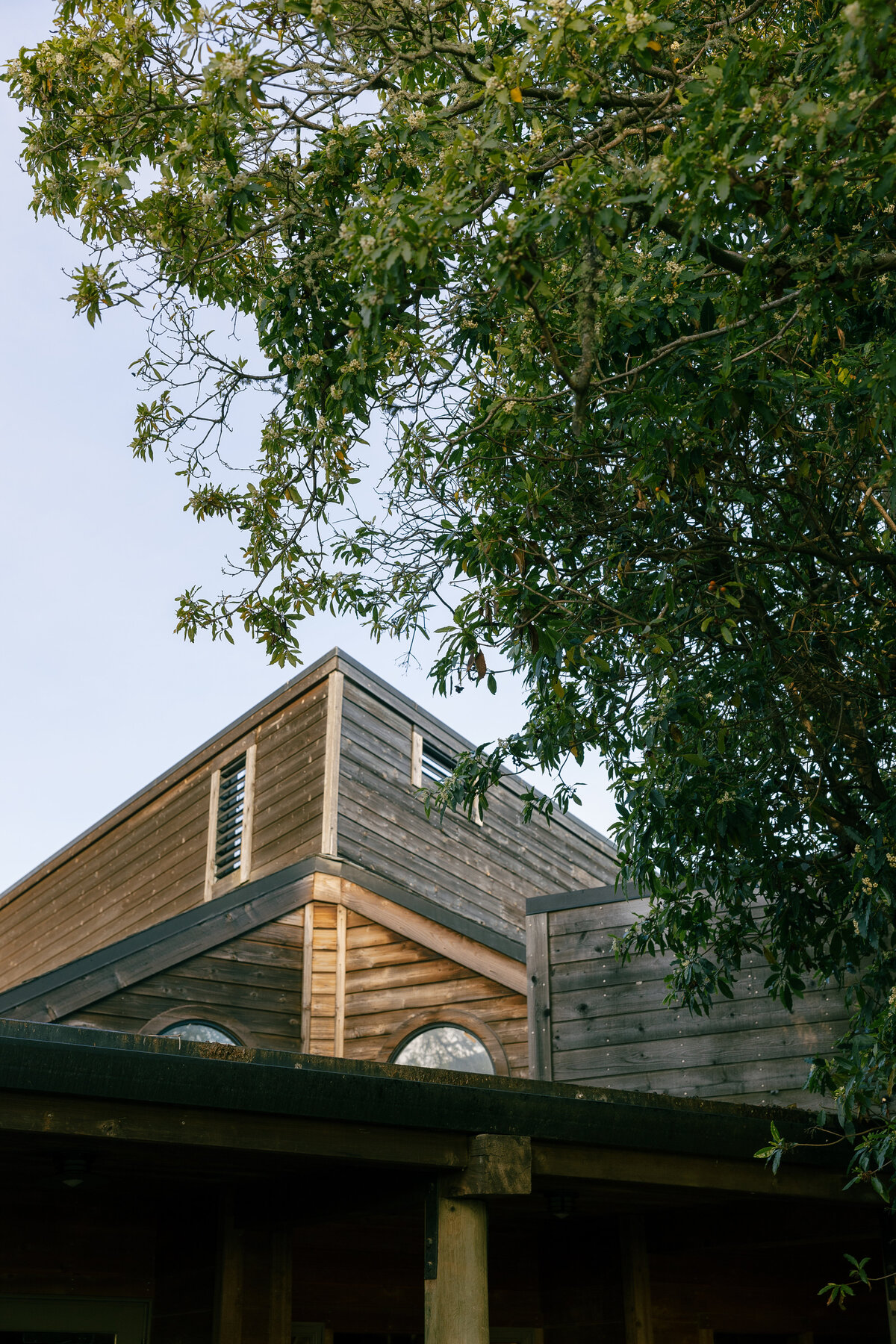 Ventana-Big-Sur-Wedding-Photographer-100
