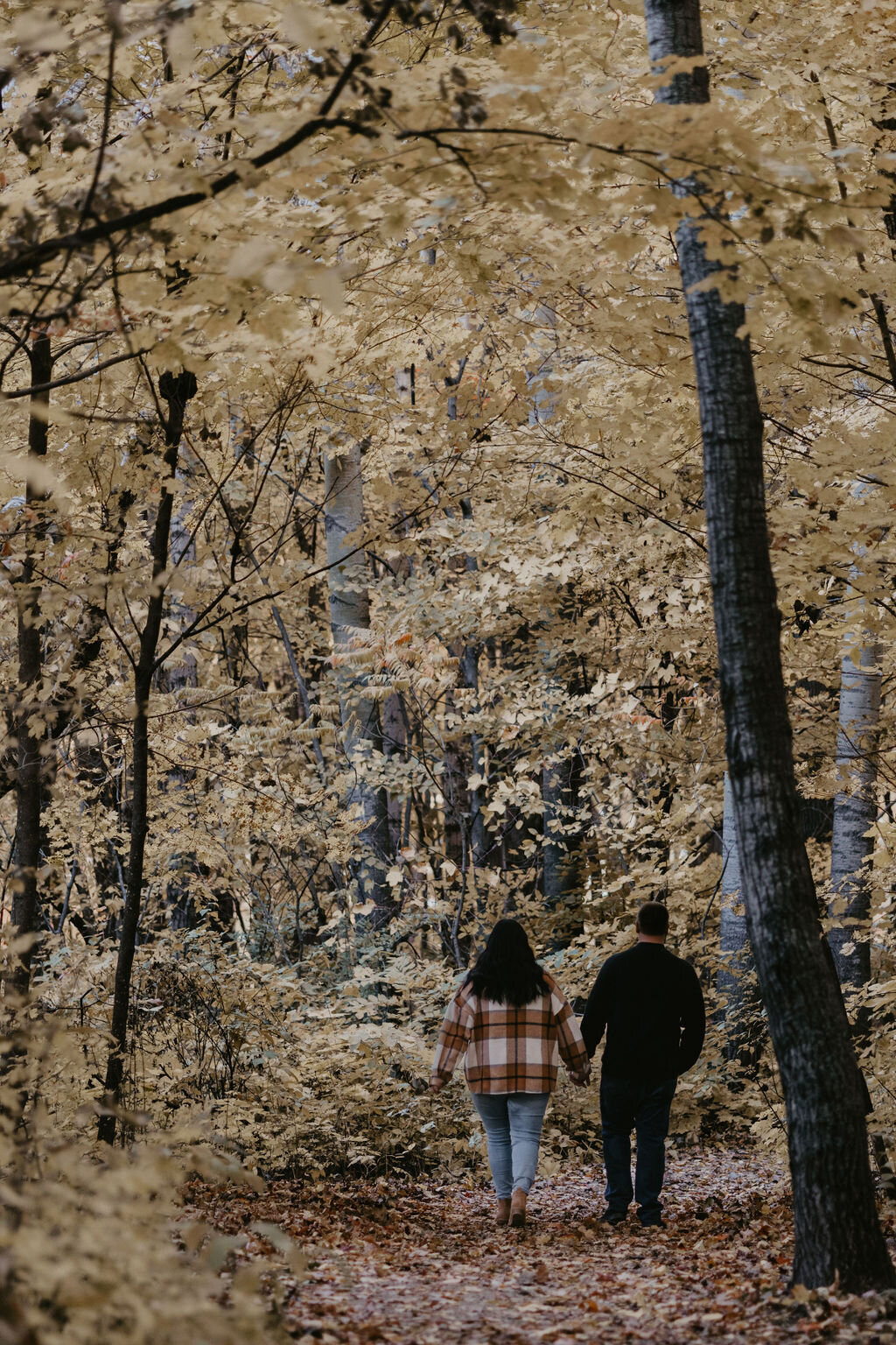 untitled-12