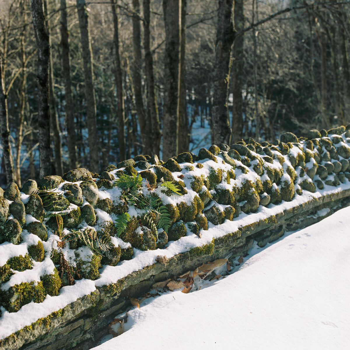 catskills-new-york-jamie-shields-photography-8