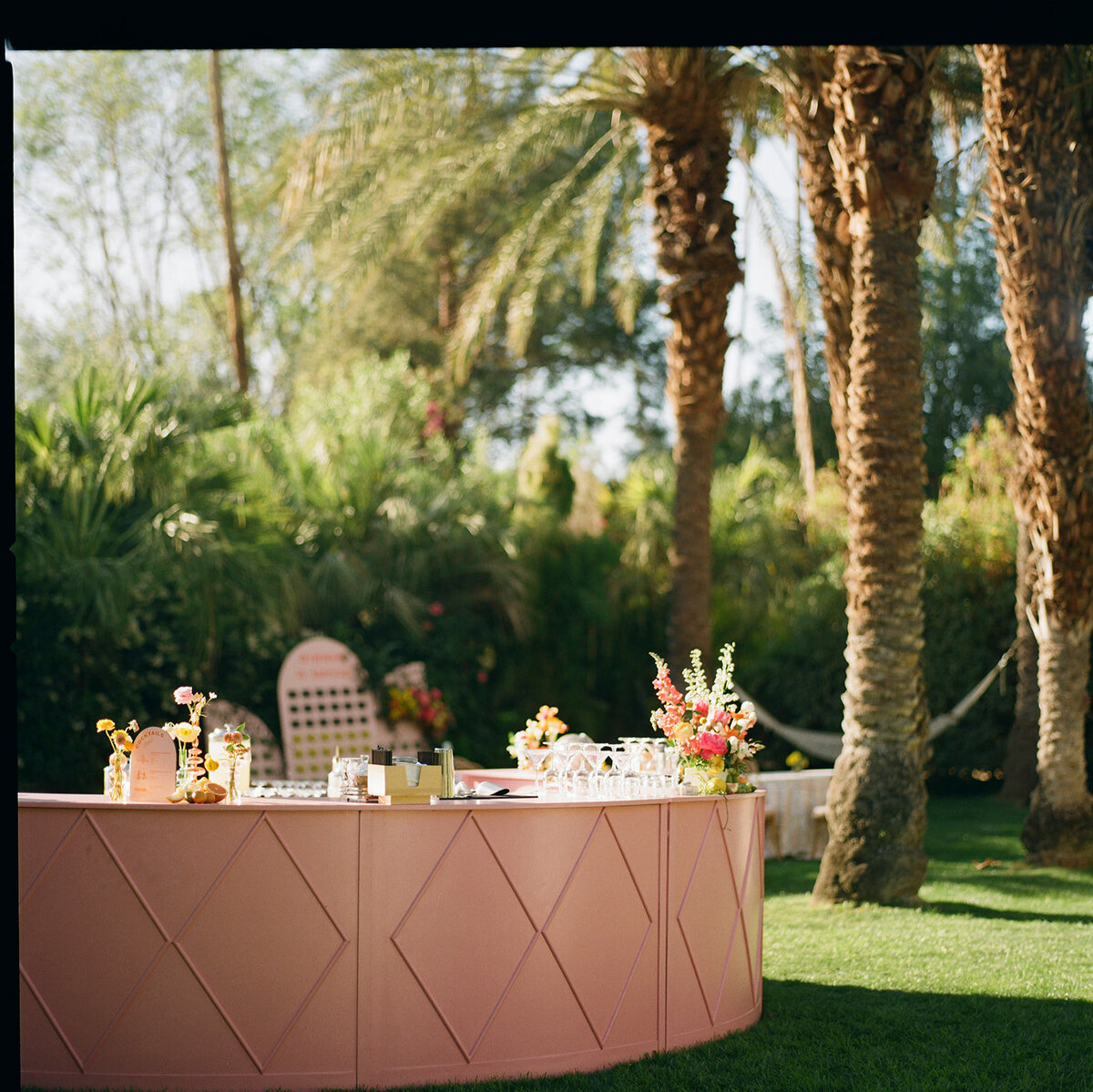 Olivia_Matias_PUB_127