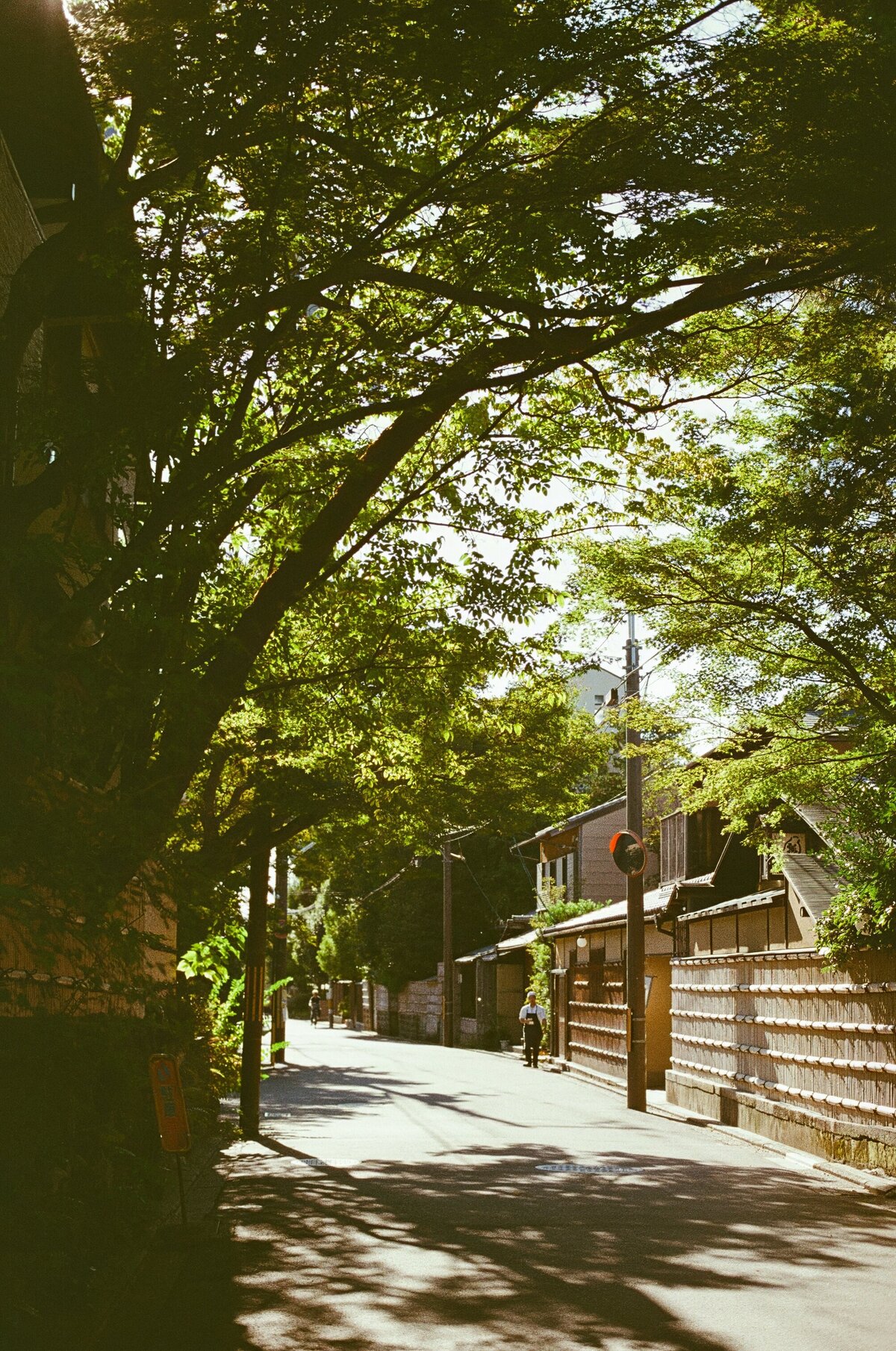 Rainstone Photography 241031 Japan & Seoul Trip-52
