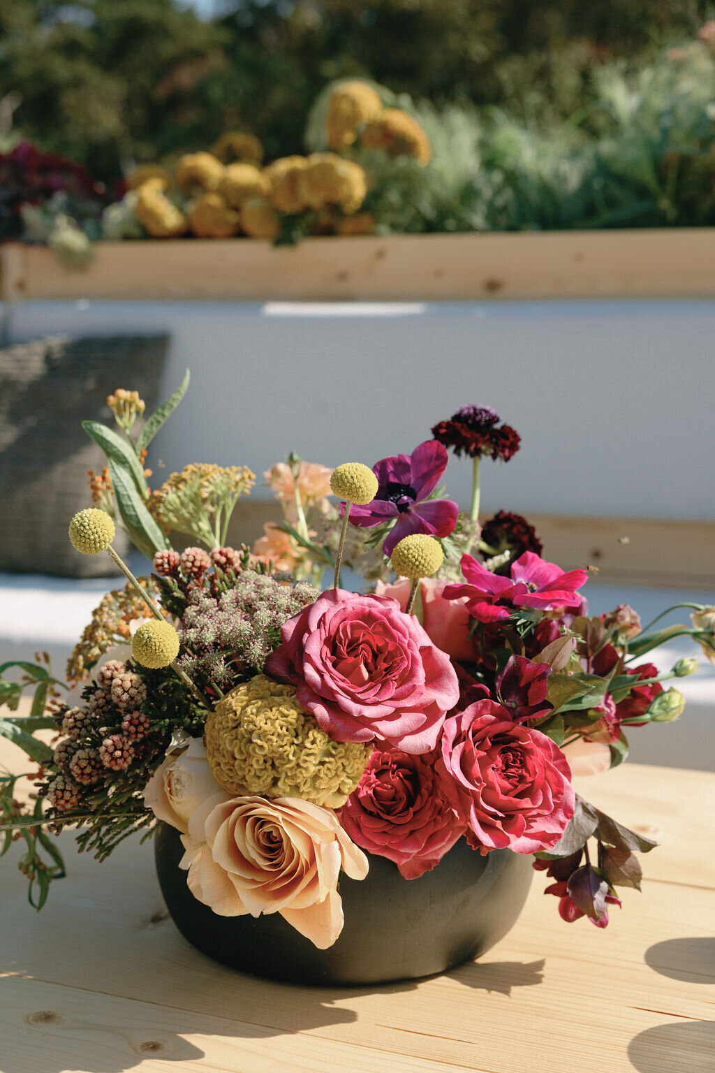 Special-Event-Planner-Bluegrass-Music-Festival-Virginia-0111