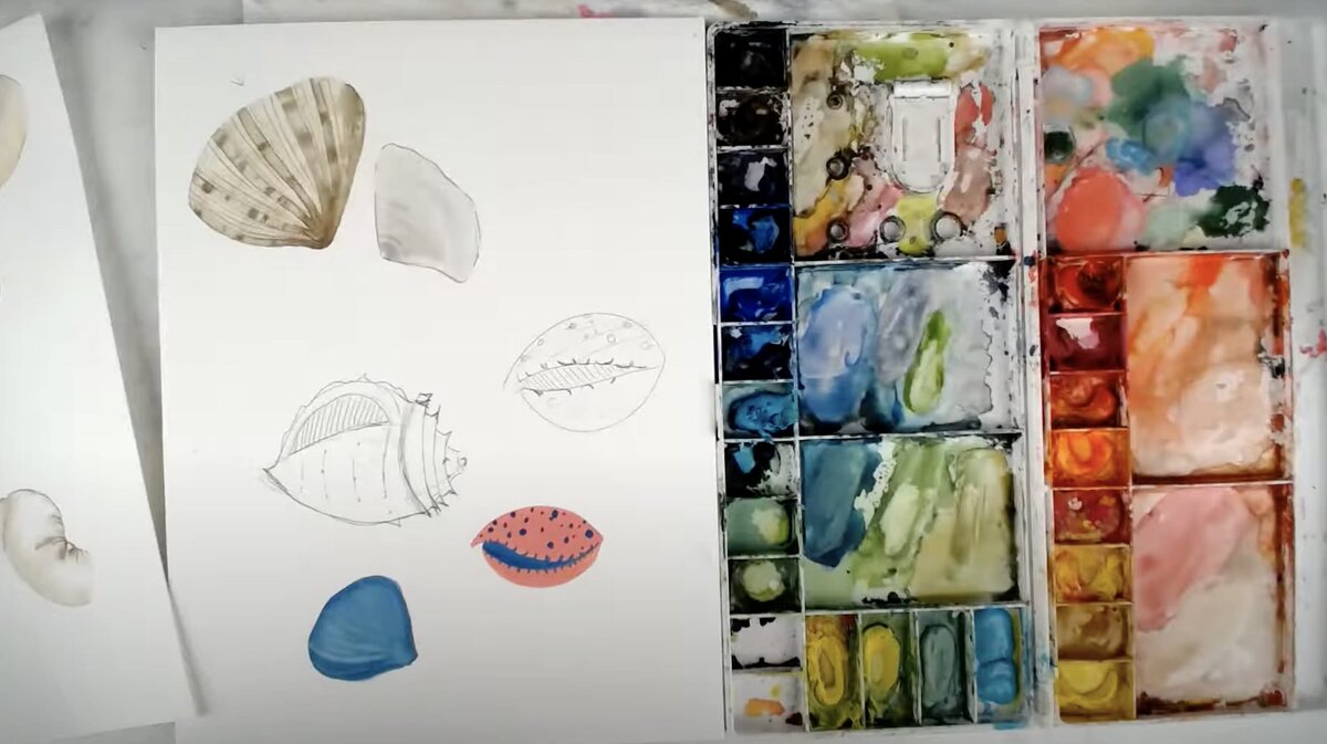 live-2021-07-28-shells-1
