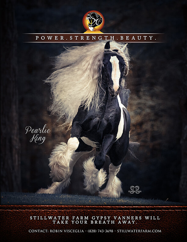 stallion marketing ad promotion
