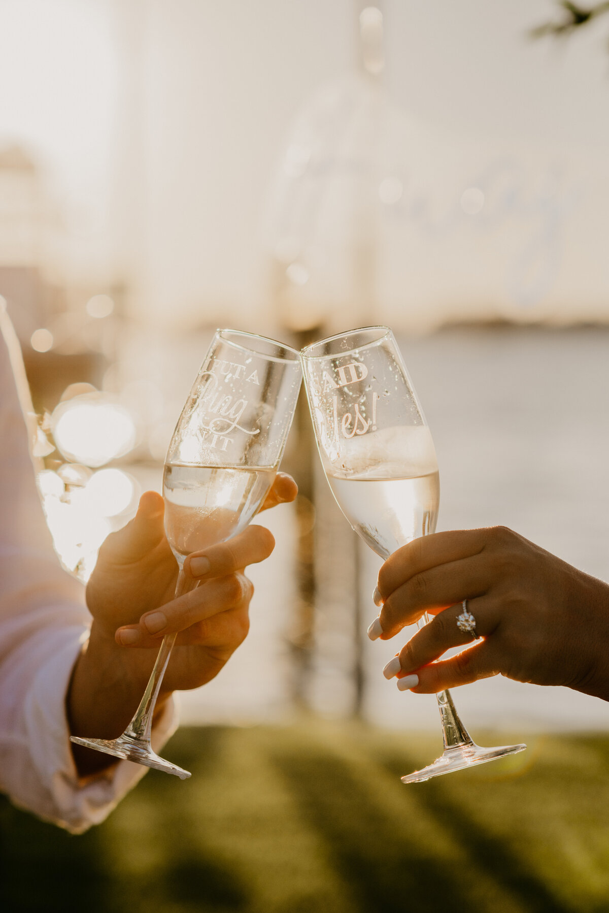 mariah-lacy-photo-florida-luxurious-proposal-chantilly-chic-celebrations-6