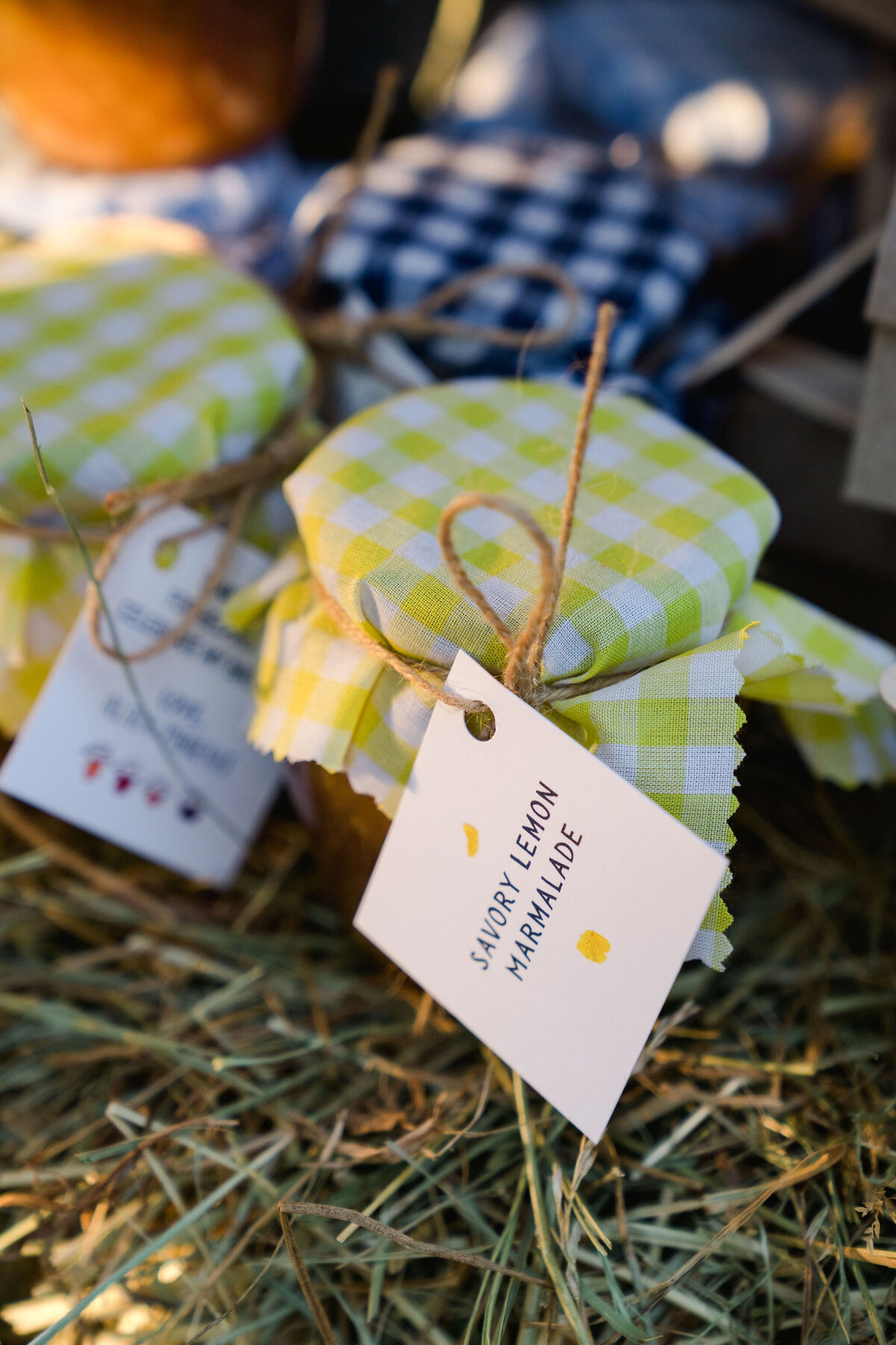 Luxury-Special-Event-Planner-Childrens-Birthday-Tented-Party0078