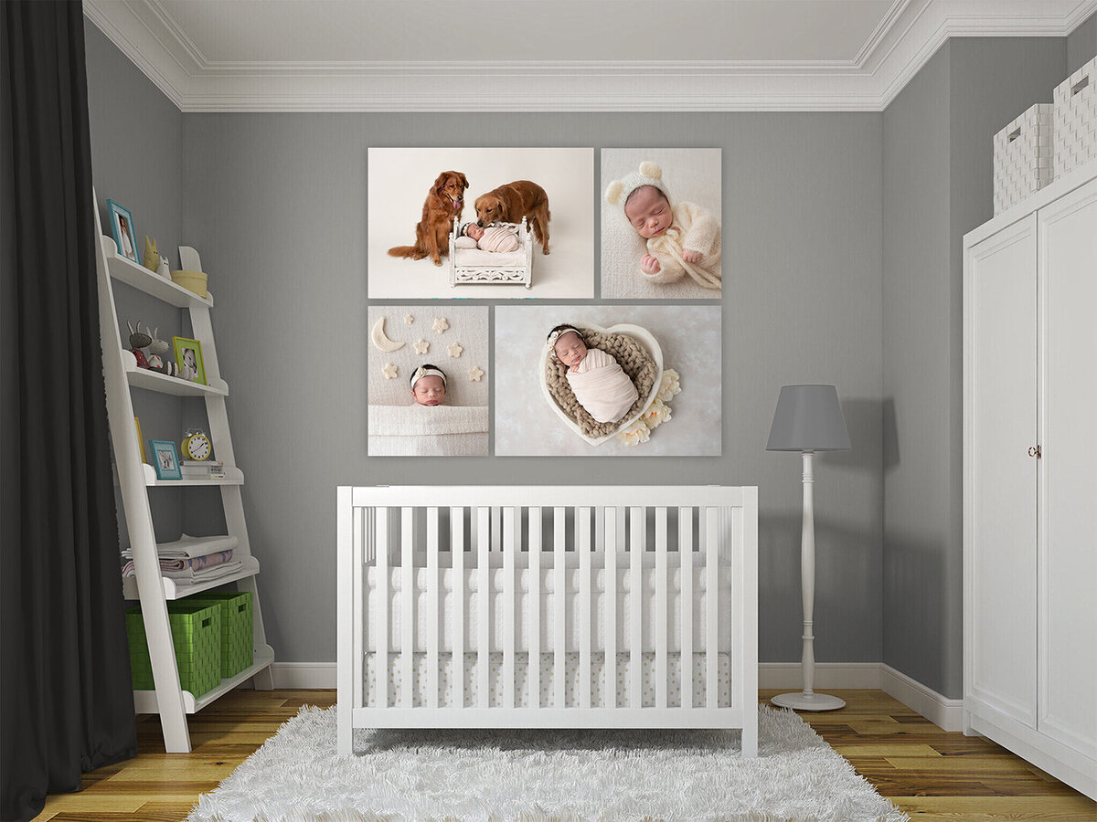 Newborn Photos in wall art captured by Laura King, Houston Photographer