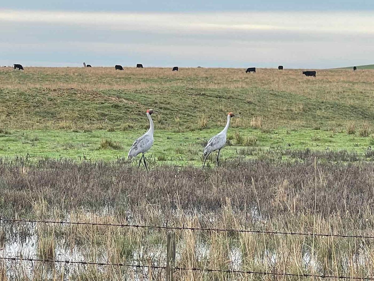 Environment and Farming