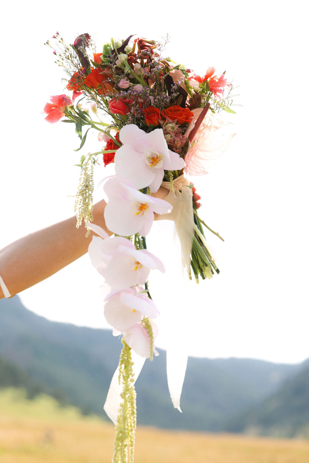 halfway-house-boulder-wedding184