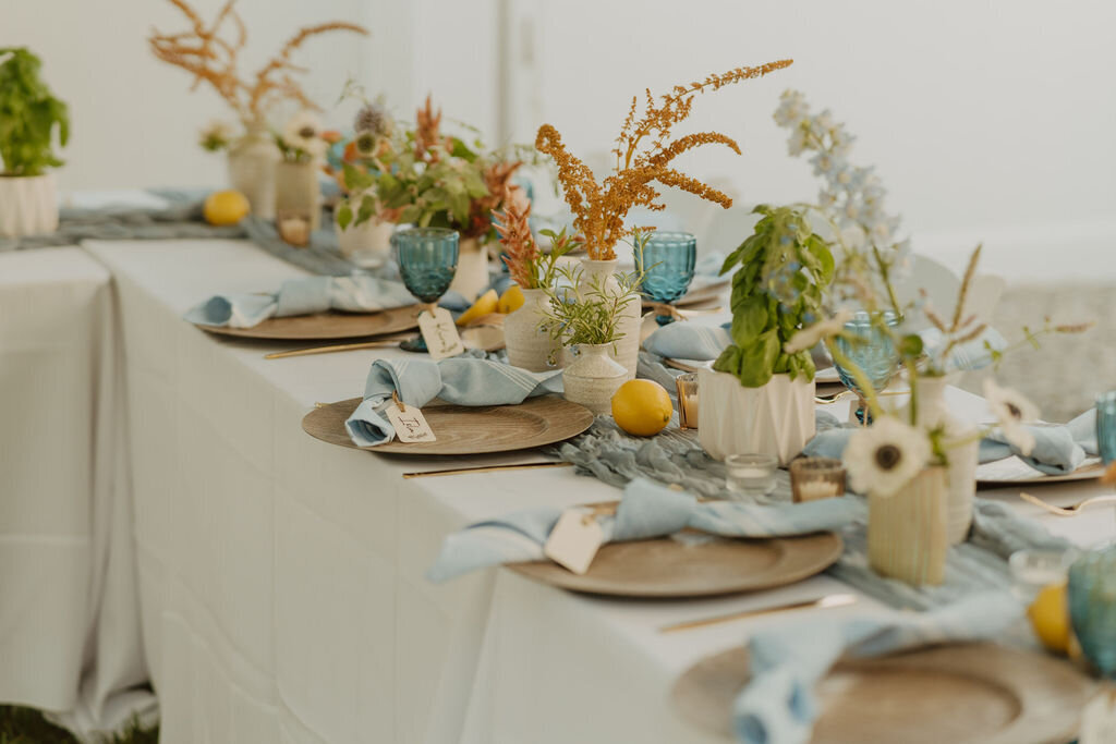 Dusty blue and lemon themed backyard wedding in Brick New Jersey