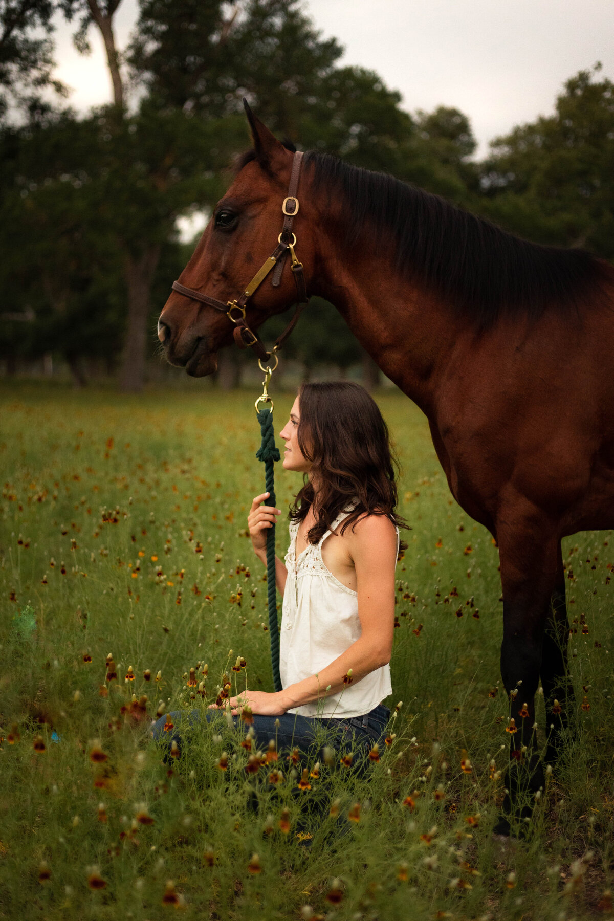 Equine_photography