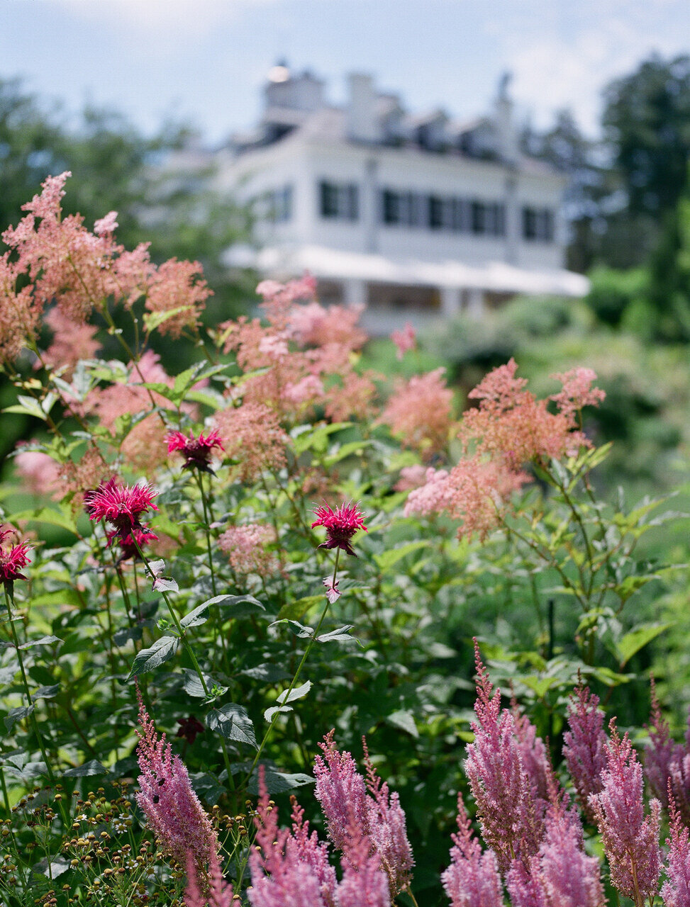 leila-brewster-photography-1955