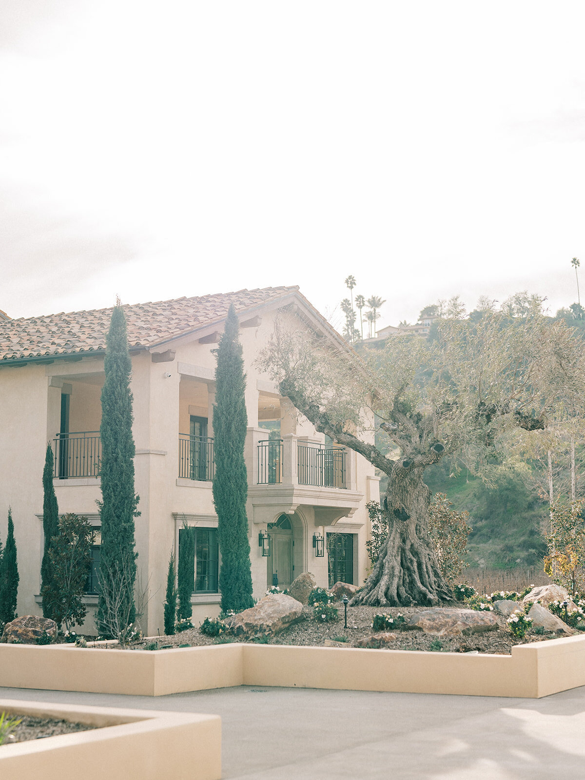 San Diego Wedding Photographer-25- Camila Margotta-482