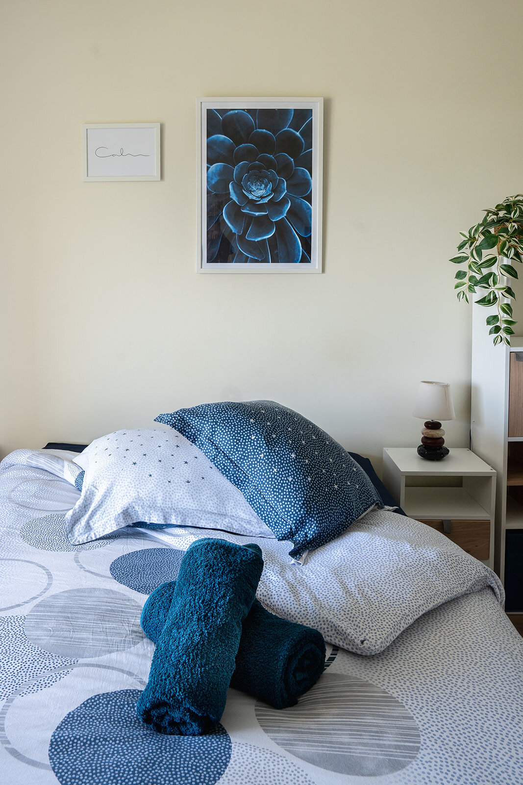 location-vacances-greoux-les-bains-air-bnb20