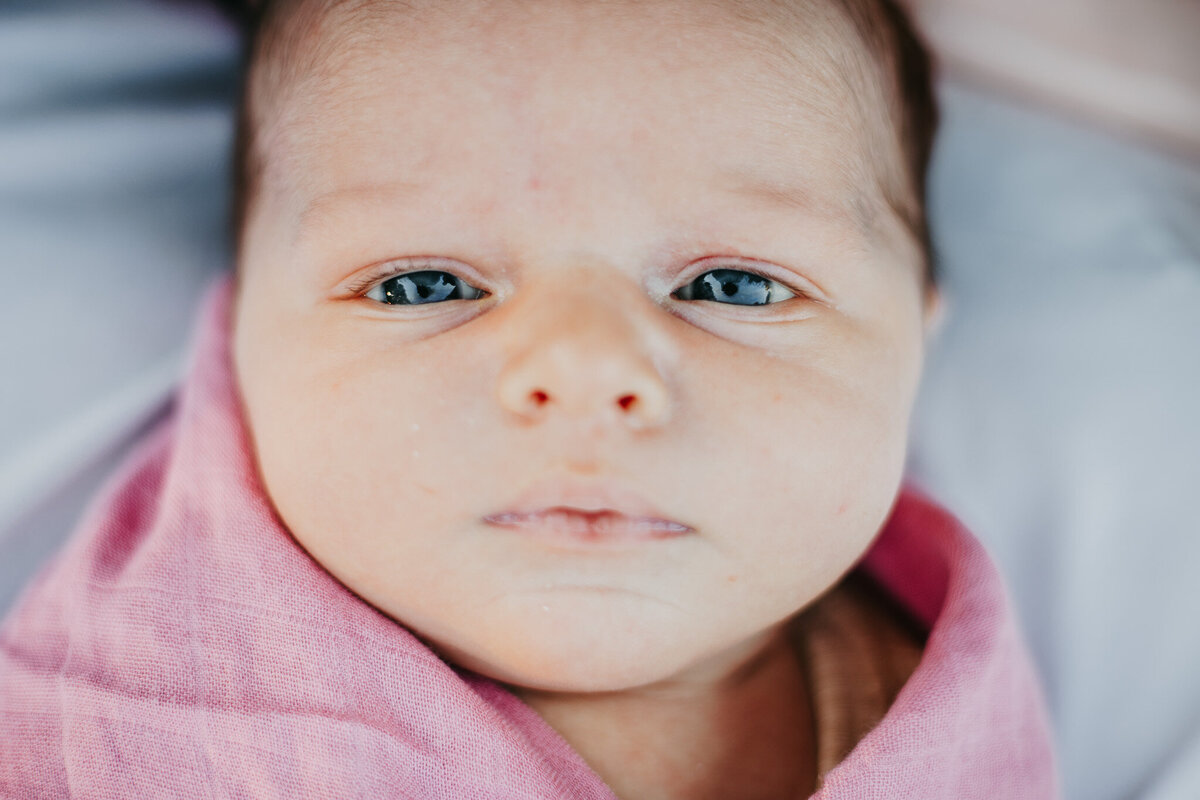 texas-newborn-photographer