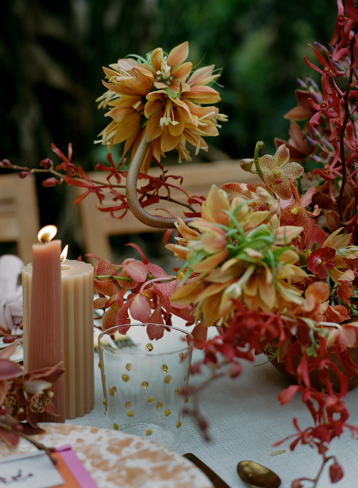 dani_toscano_kona-209