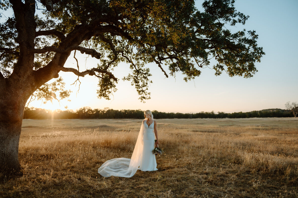 morrisonweddinggoldenhour-116