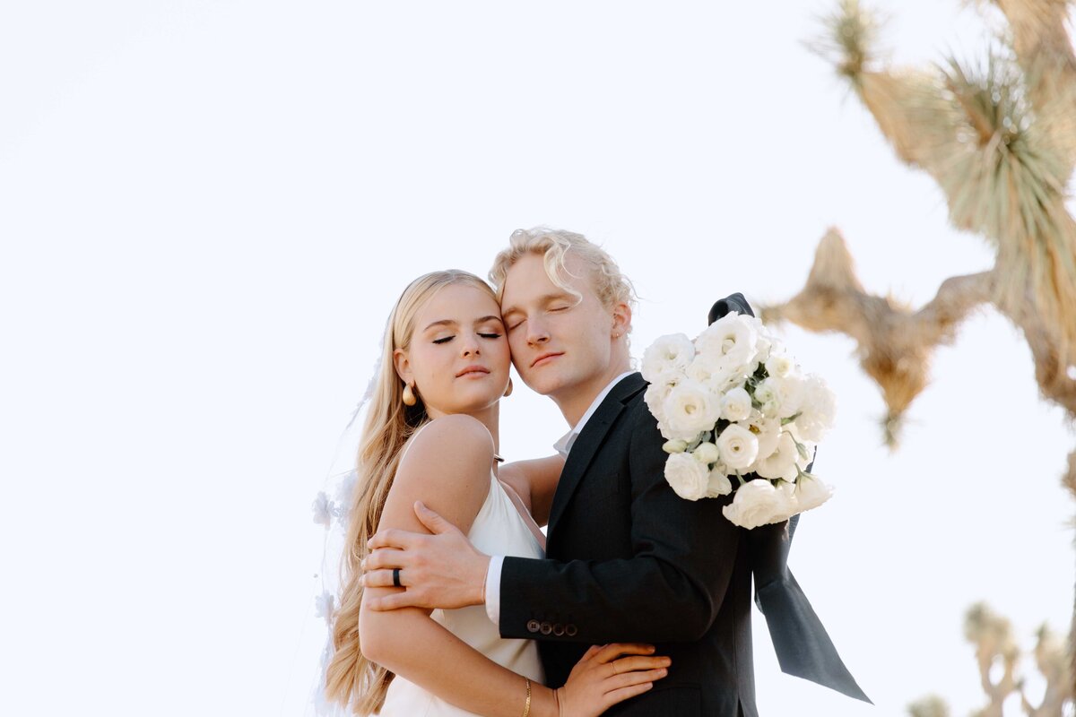 Elegant-Joshua-Tree-Elopement_1260
