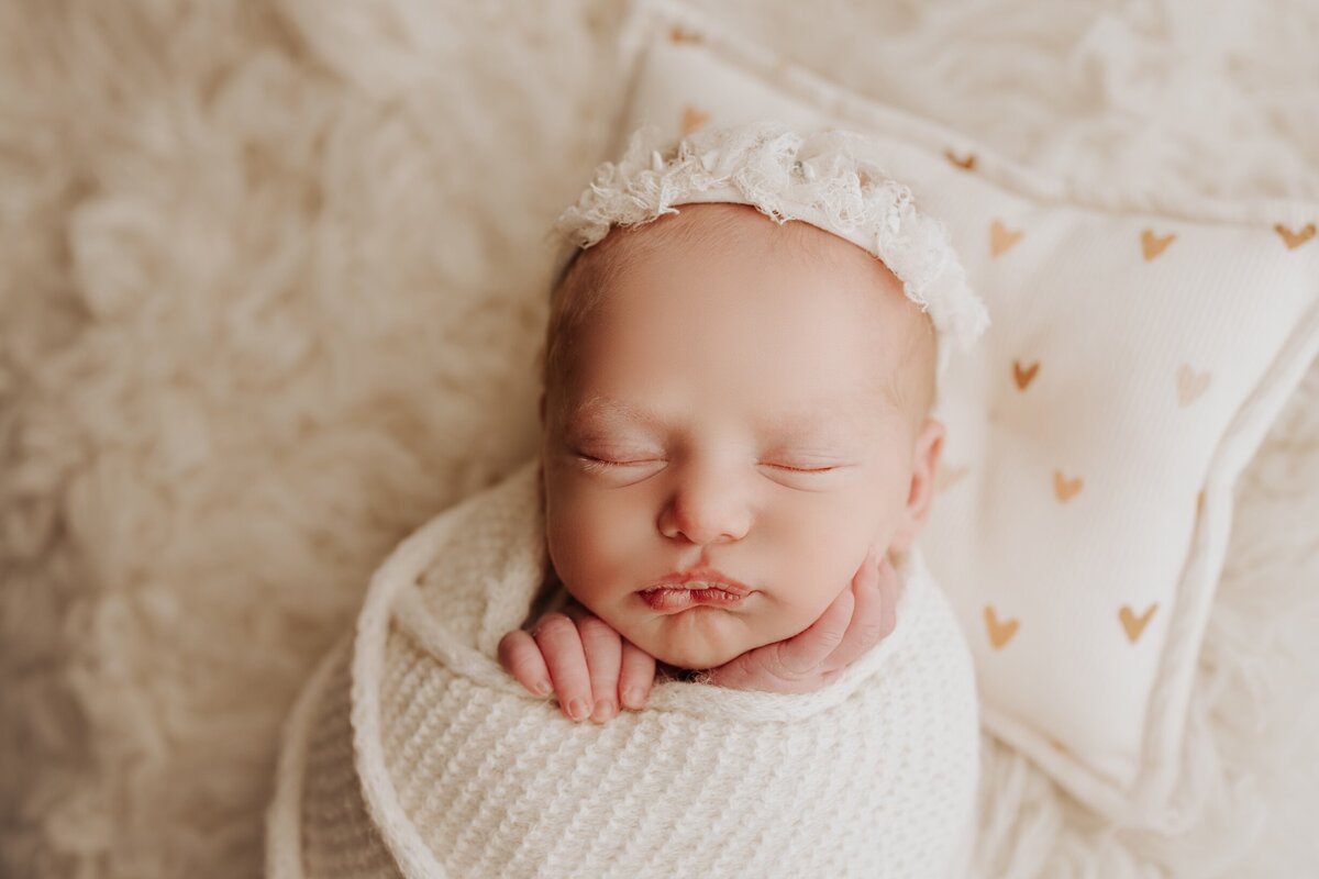 Sacramento, Elk Grove, Florin, Vineyard, Roseville, Davis, Rancho Cordova, East Sacramento, Cameron Park, Folsom, Antelope Newborn Photographer, Baby Photographer, A Little Goose