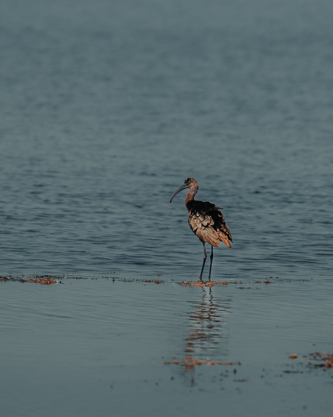 EDP Wildlife-230828-011