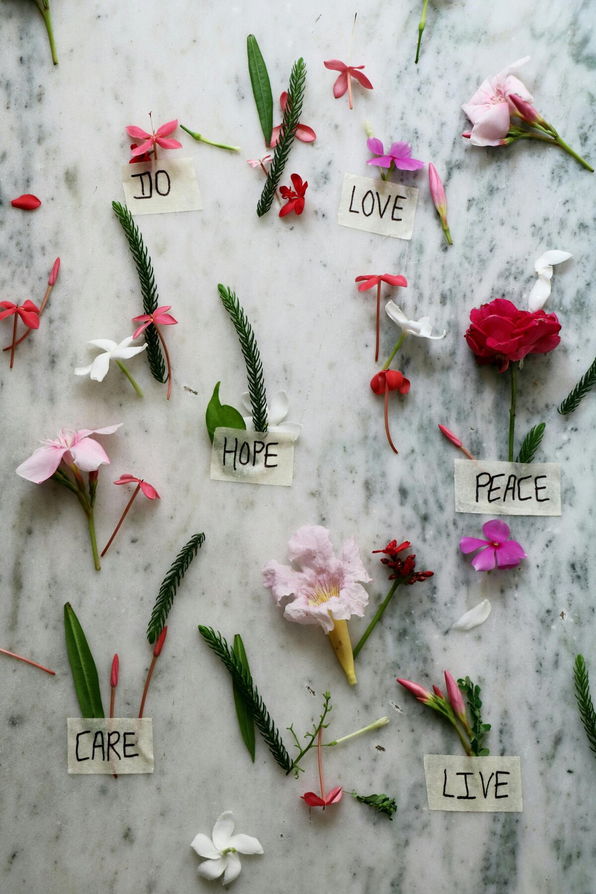 A mix of light pink, dark pink, and red flowers and their leaves sit on a white and black marble background. The words "hope" and "peace" are written on pieces of masking tape placed against the marble.