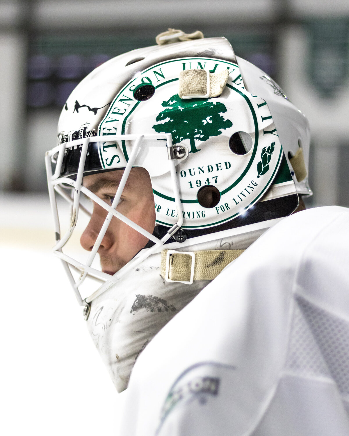 STEVENSON_PORTFOLIO-20