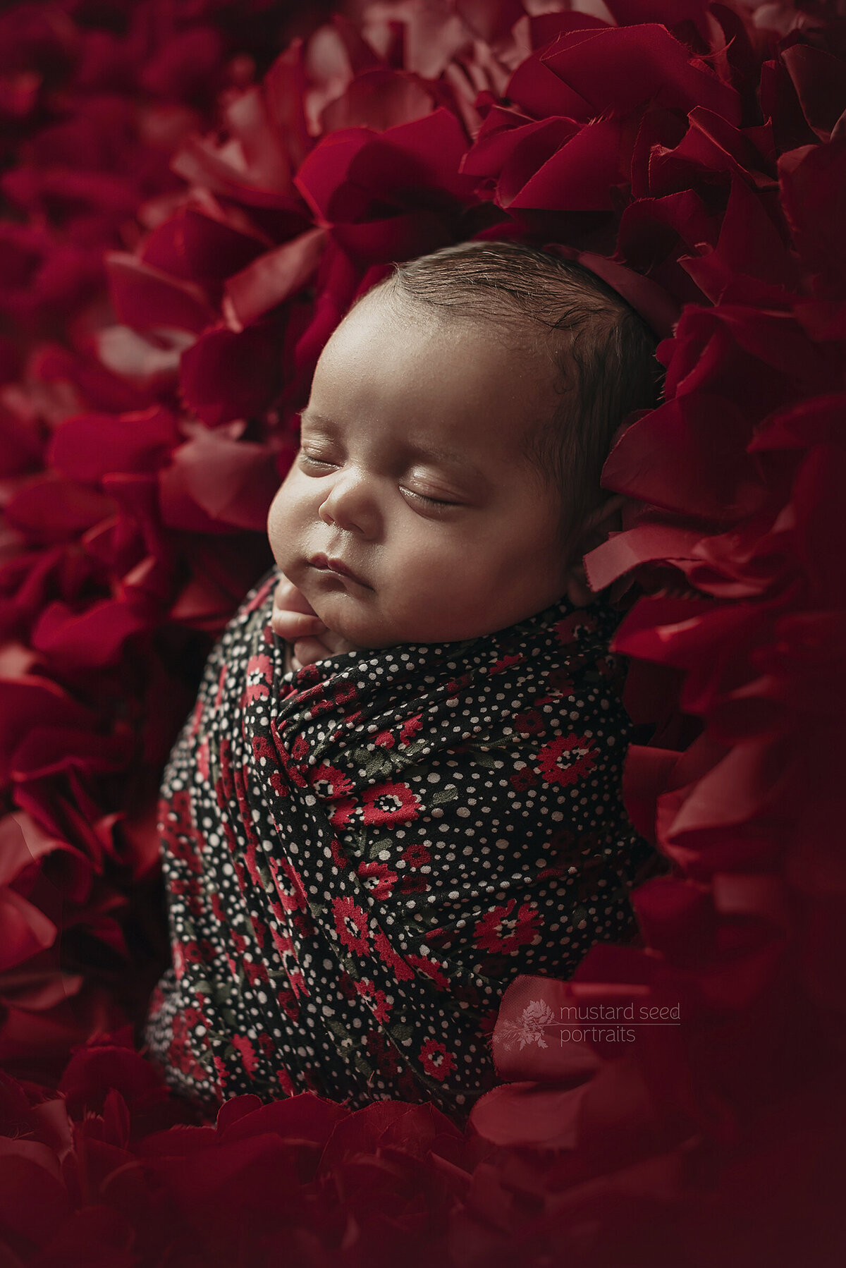 newborn photoshoot in NJ - 08