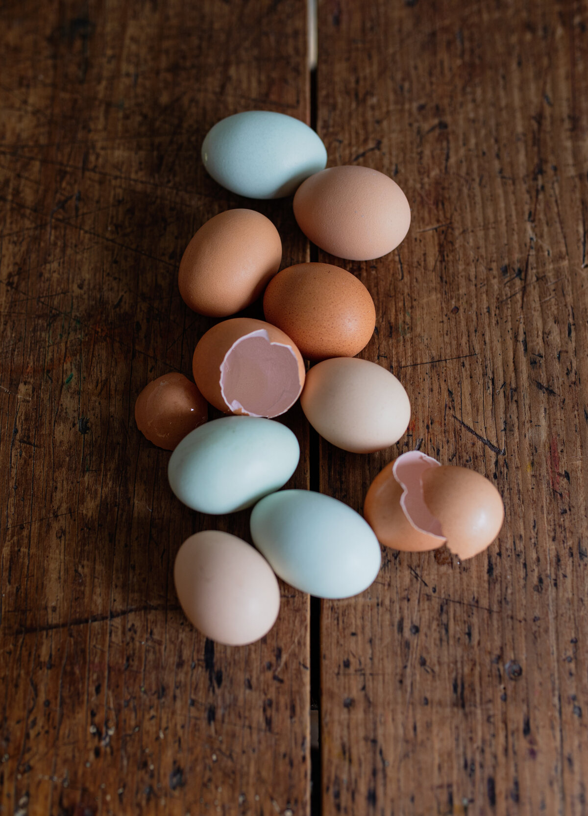 moxie, eggs-1 copy