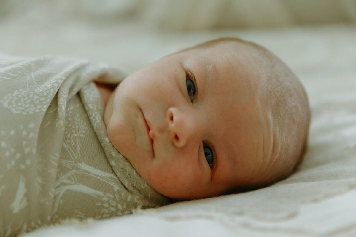 6.9.2025 - The Schultz Family_ Newborn-149