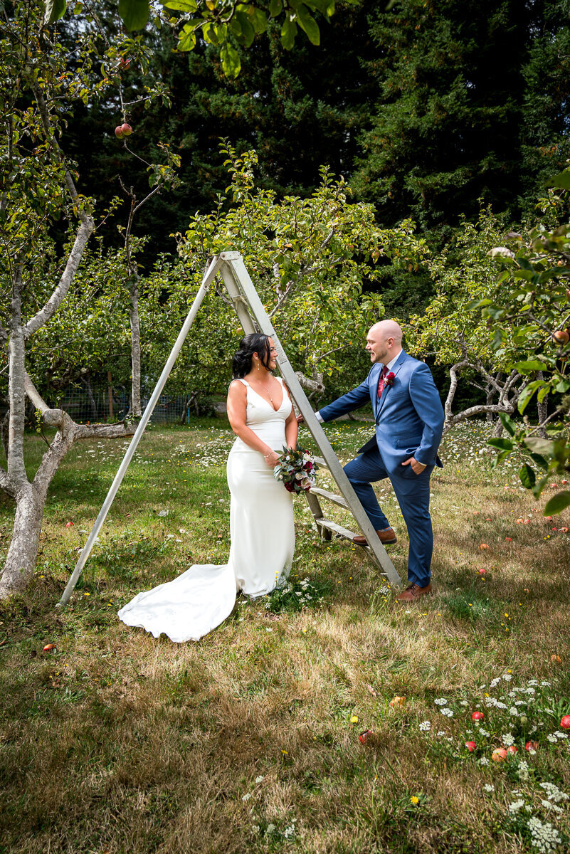 A beautiful wedding portrait of a bride and groom posing in the orchard at Mitchell Grove in Eureka, CA, surrounded by lush greenery and golden sunlight.