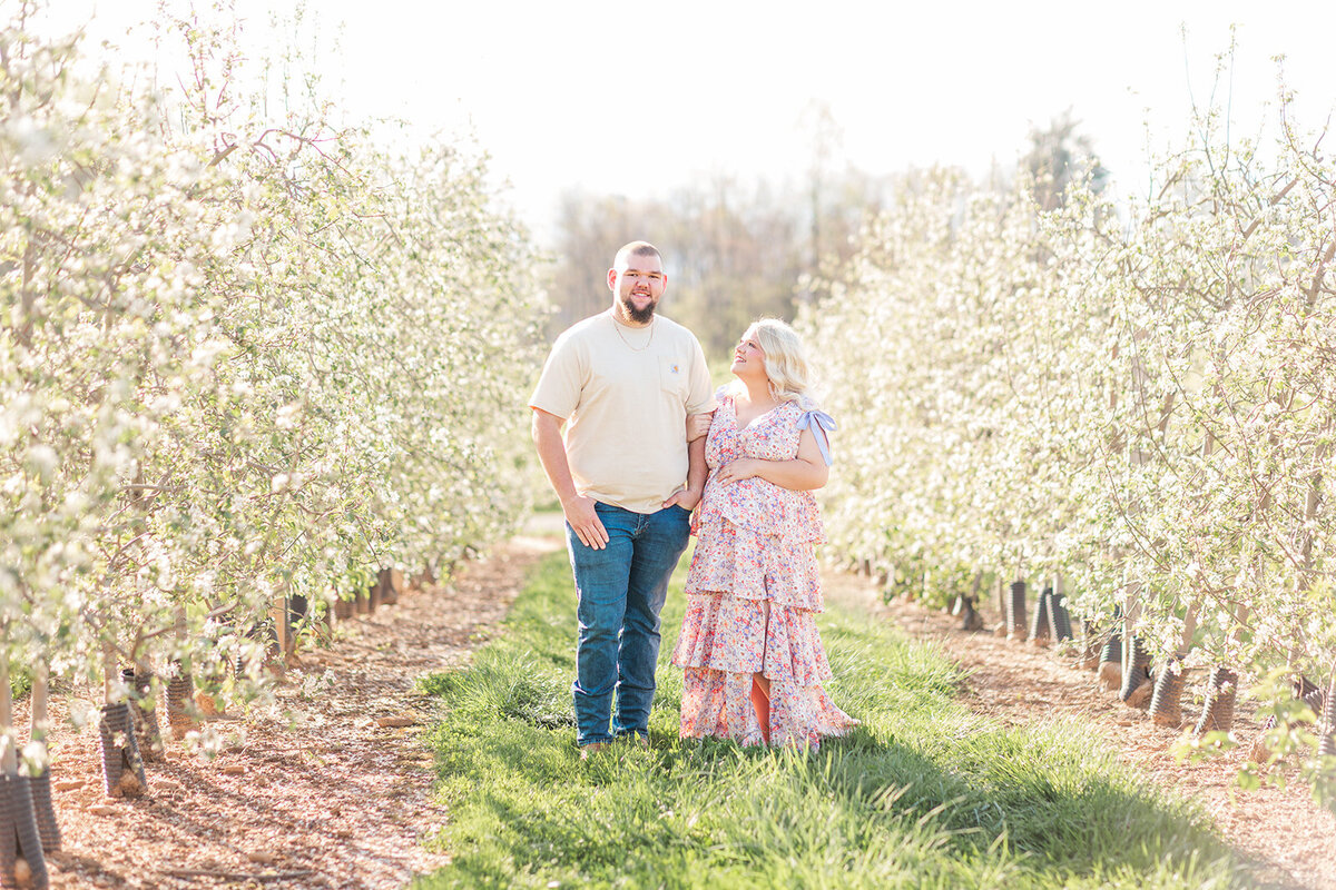 Maternity session at Perry Lowe Orchards during peak spring blooms