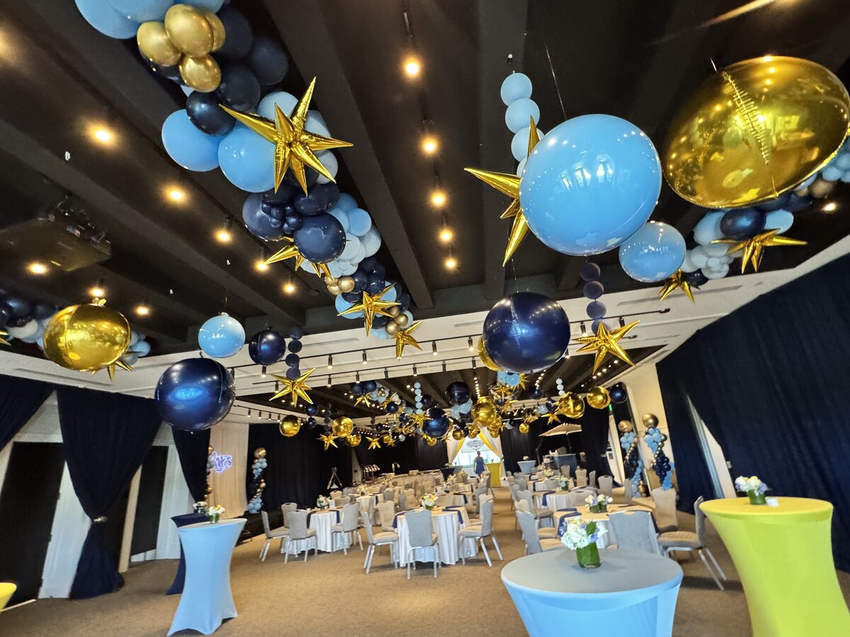 tampa-bay-rays-balloons-party-pond (4)