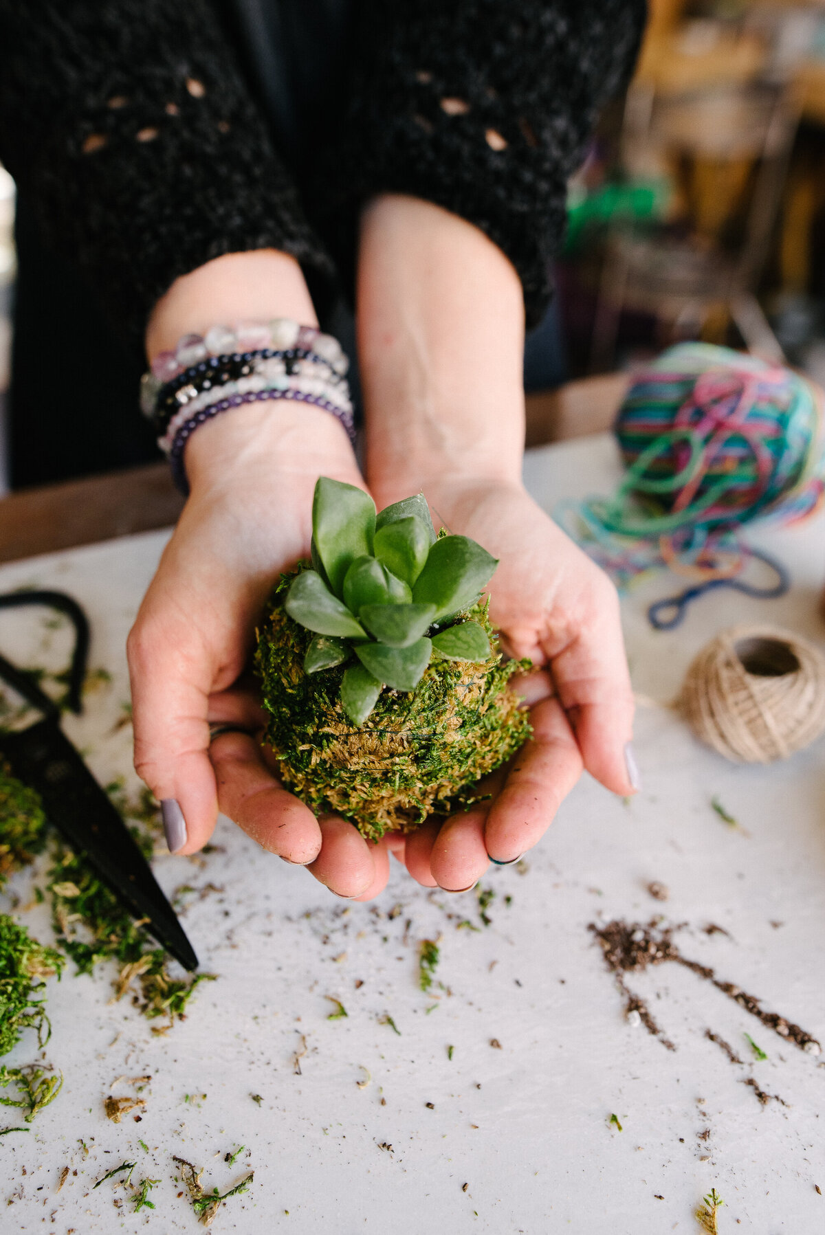 San Diego Branding Photographer_Infinite Succulent-5