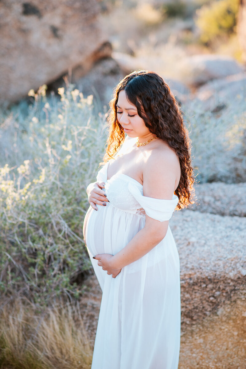 Arizona Maternity Photographer-16