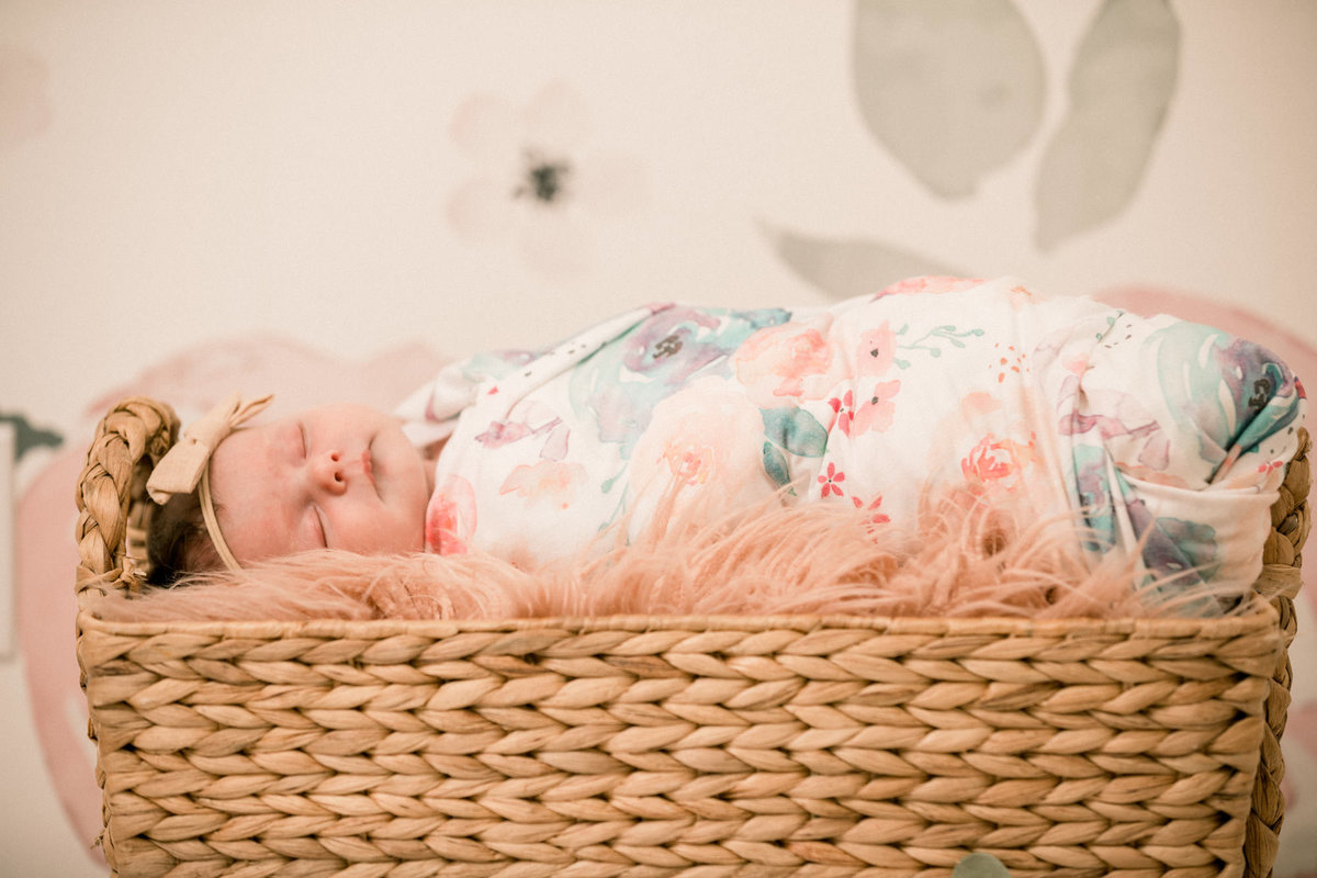 Baby sleeps in a basket during her photo session