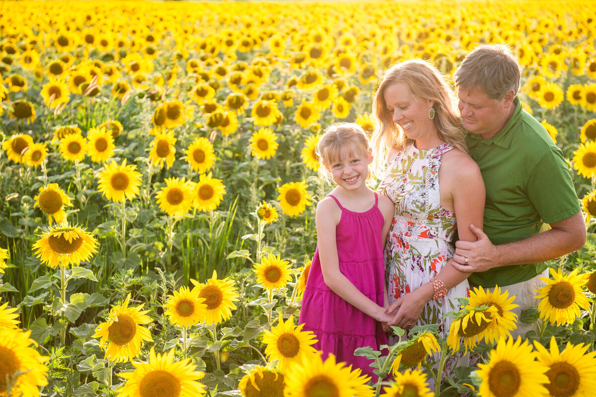 a mom, dad and daughter in a field of sunflowers at sunset taken by Ottawa Family Photographer JEMMAN Photography