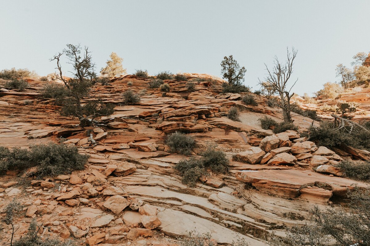 Zion-National-Park-8