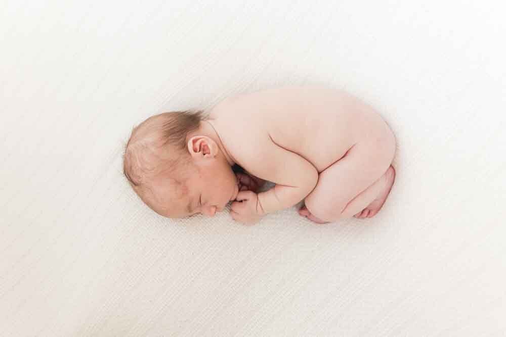 Elizabeth Priniski Madison Newborn Photographer Charles-12