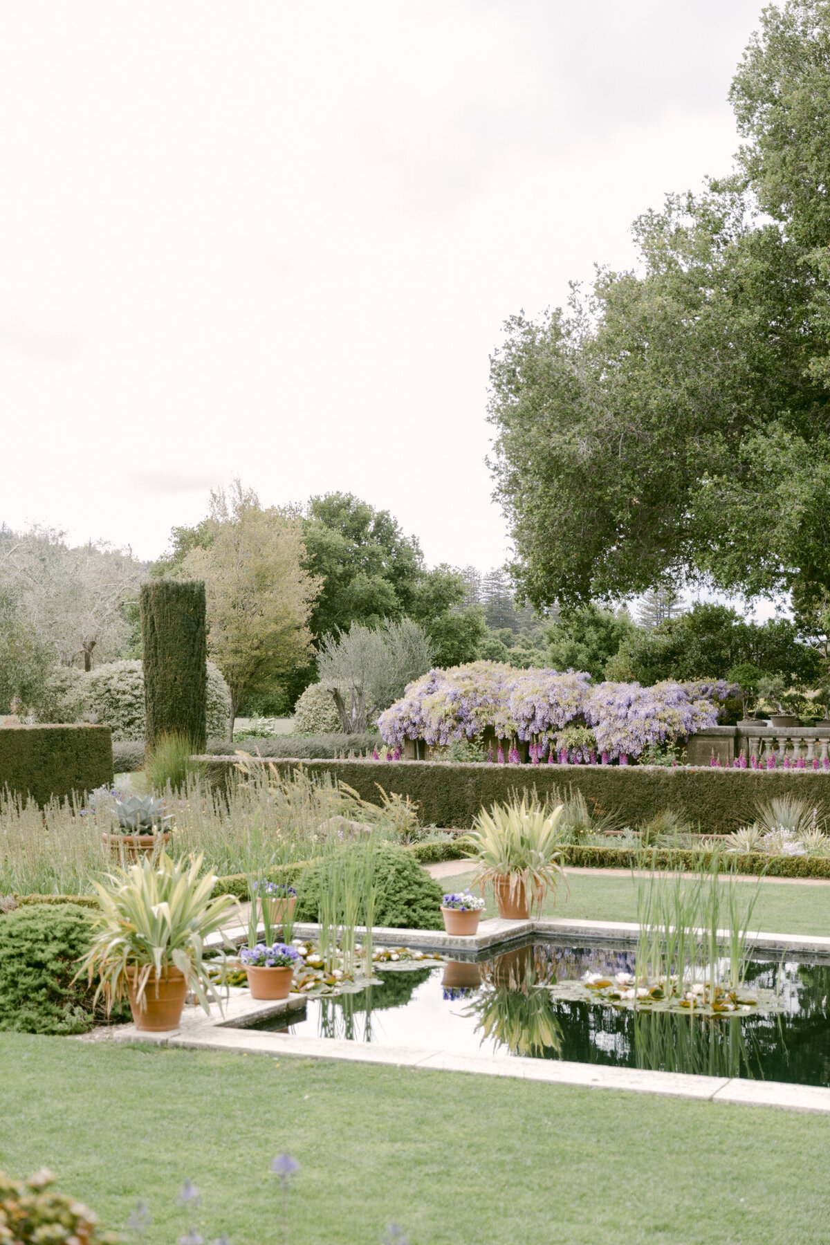 PERRUCCIPHOTO_FILOLI_SPRING_ENGAGEMENT_51