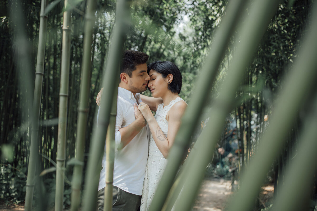 Couple hugging by bamboo during engagement photo at Grounds for Sculpture in Hamilton Township New Jersey