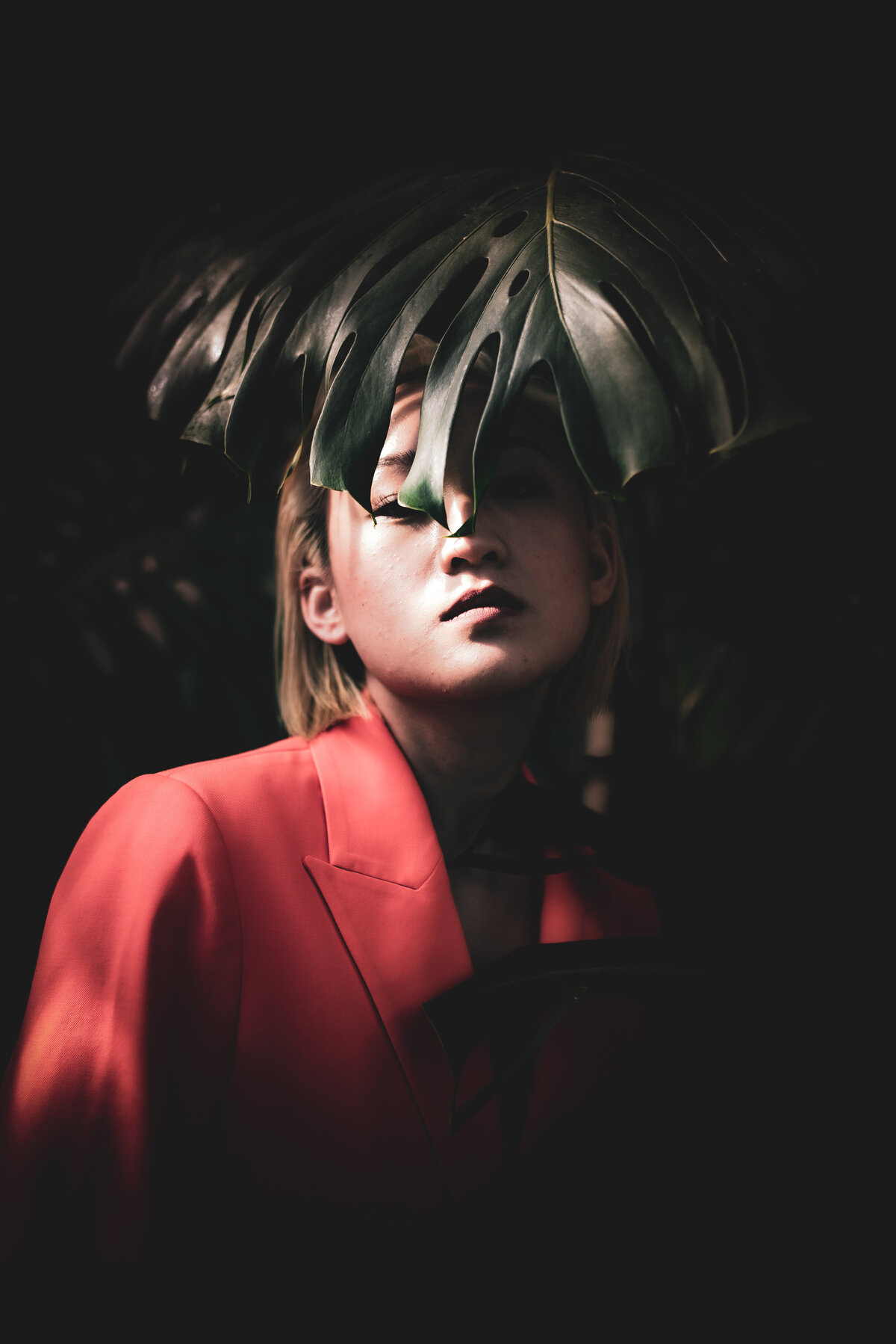 _7506618