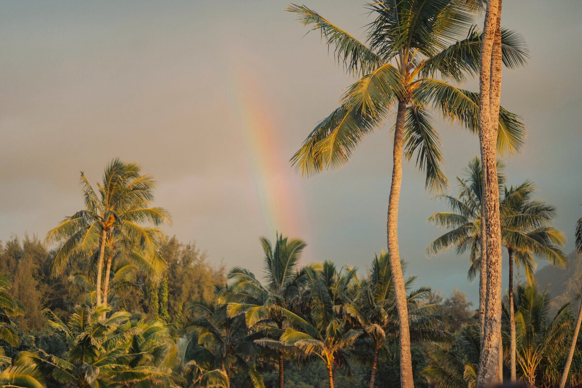 1_hotel_hanalei_elopement_pictures41