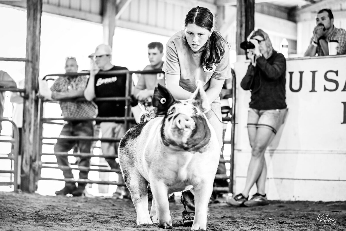 girl driving hog