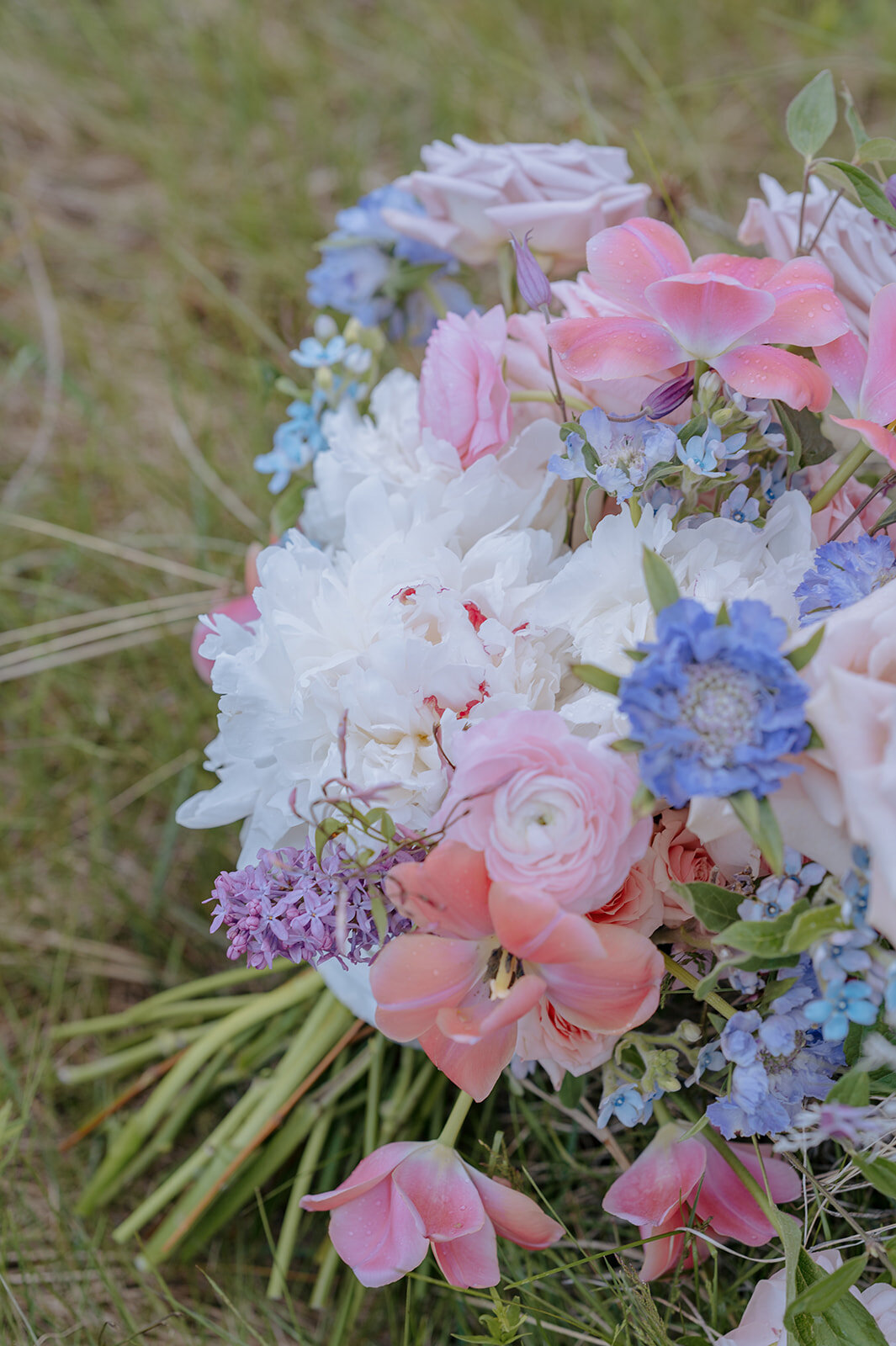 Carly-Patrick-Sheridan-Wyoming-Elopement-214