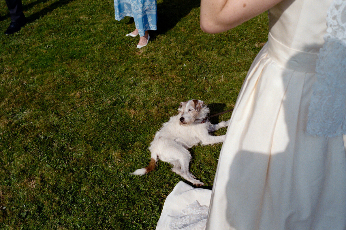 english-countryside-wedding-analogue-6