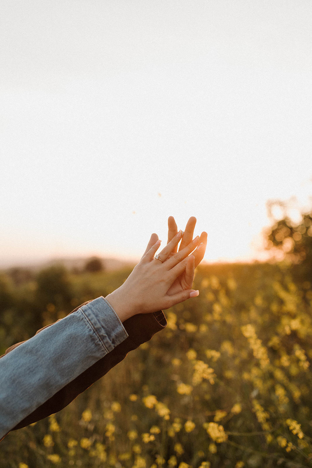 couples hands in front of susnet