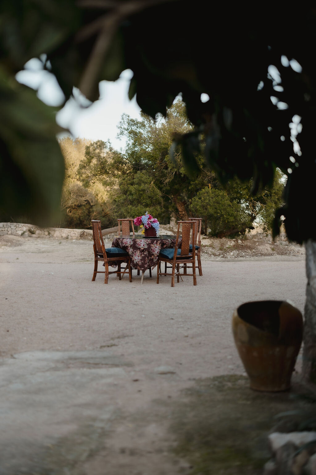 THE AWAKENING ° MIMI FIEDLER  ° THREE