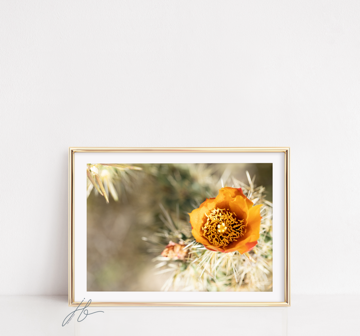 Gold frame_CactusFlower_Facebook_w logo