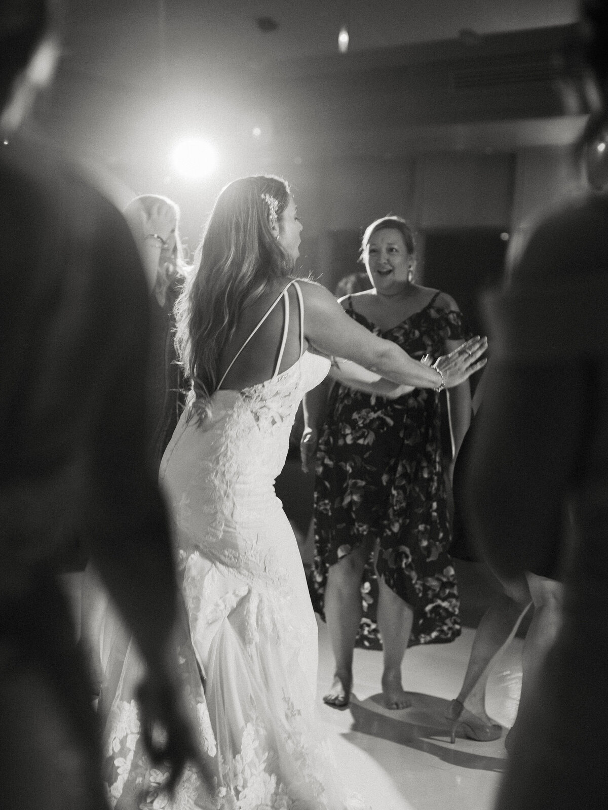3DanadaHouseWheatonILweddingphotographerpamcooley1V7A0268